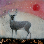 40x40